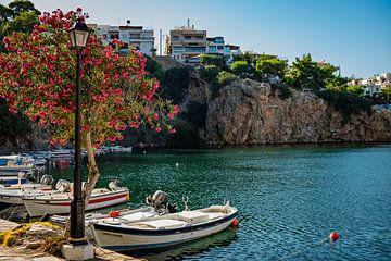 Port atmosphérique avec une eau turquoise et des bougainvilliers en fleurs. sur Paul de Kok
