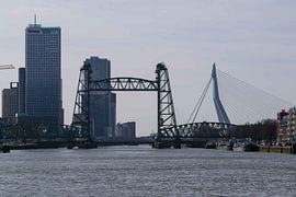 De Hef en Erasmusbrug van Inge van der Stoep