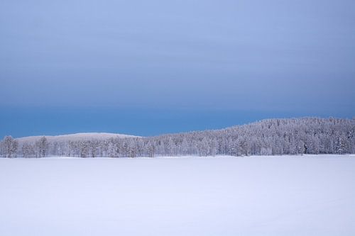 Finland van David Lawalata