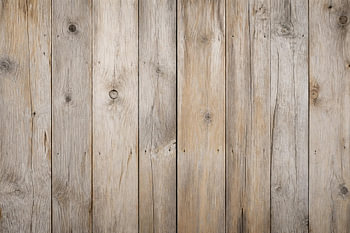 Abgewetztes Holz-Panel – Wabi-Sabi Treibholz Wandbild
