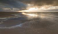 Maasvlakte 10