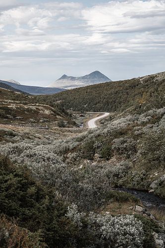 Une photographie aérienne pleine de charme de la rivière et de la route sinueuse menant aux Store Solnkletten, en Norvège