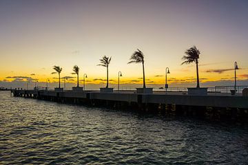 Verenigde Staten, Florida, Palmbomen en straatverlichting in key west haven af van adventure-photos