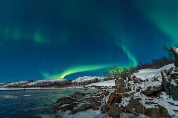 Aurora Nordpolarlicht am Nachthimmel über Nordnorwegen von Sjoerd van der Wal Fotografie