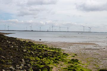 Renesse mit Windmühlen an der Küste