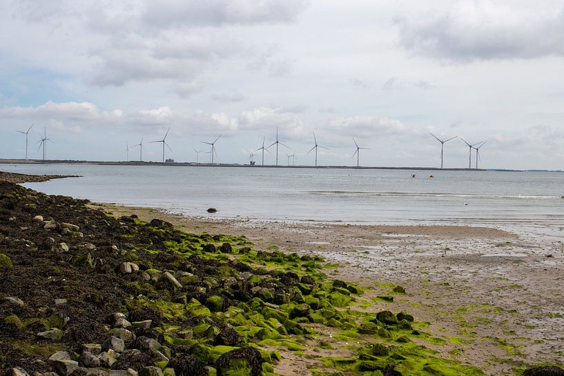 Renesse with windmills coast by Martijn Aalbers