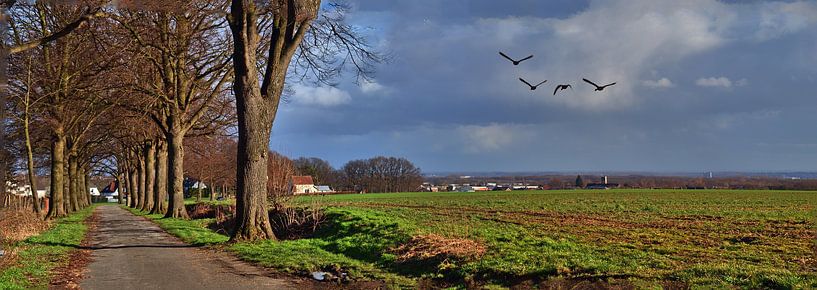 Hertenpanorama van Edgar Schermaul