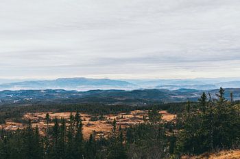 Norwegische Landschaft