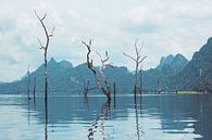 Nationaal park Khao Sok van Lisette van Oosterhout thumbnail