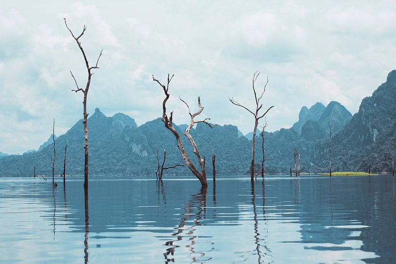 Nationaal park Khao Sok van Lisette van Oosterhout