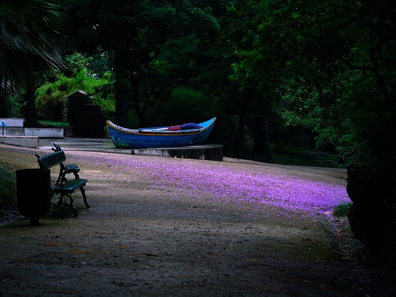 pink sea by ky.feografia