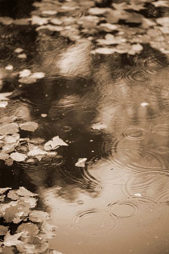 een regenachtige dag