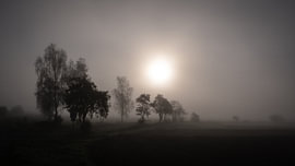 Un matin d'automne sur Kilian Schloemp