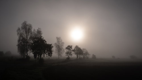 Herbstmorgen