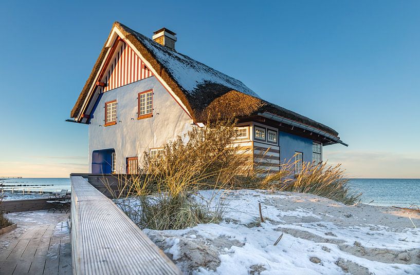 Das Blaue Haus am Meer von Ursula Reins