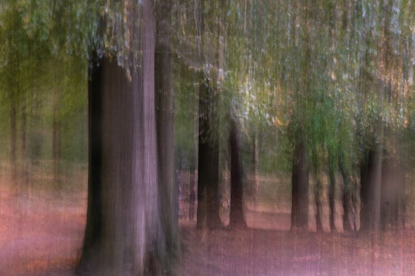 Gemalter Wald von MientjeBerkersPhotography