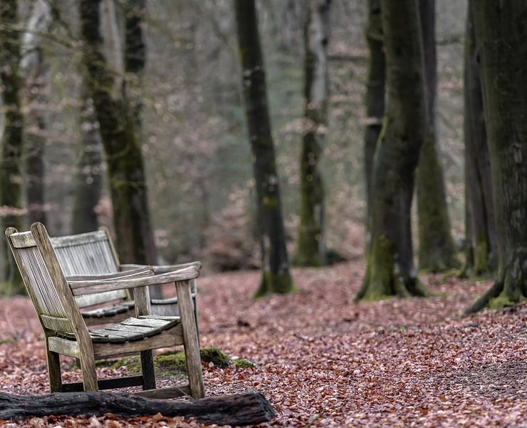 La forêt, il y a encore de la place par Hans Verduin
