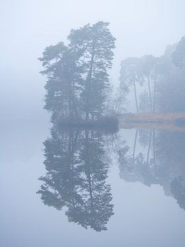 Insel mit Bäumen in einem der schönen Moore im Oisterwijkse Vennen. von Jos Pannekoek