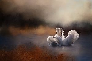 Schwäne im Wasser in der Herbstlandschaft