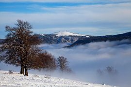 Feldberg im Schwarzwald von Jürgen Wiesler
