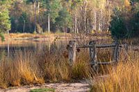 Brugje langs het van Esschenven. Genieten van de natuur.