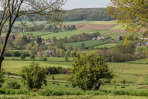 Voorjaar in Zuid-Limburg