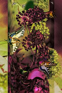 Collage - Schmetterlinge auf Efeu