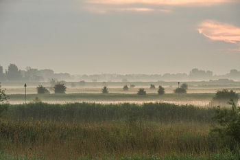 Mistig landschap