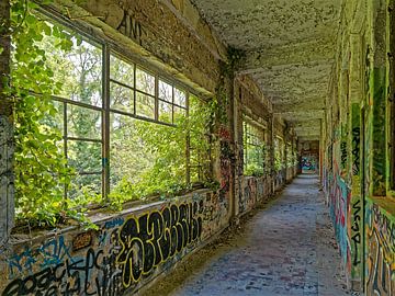 Urbex & lieux abandonnés - Jungle versus Graffiti sur BHotography