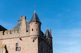 Schloss Doornenburg von Richard Wareham