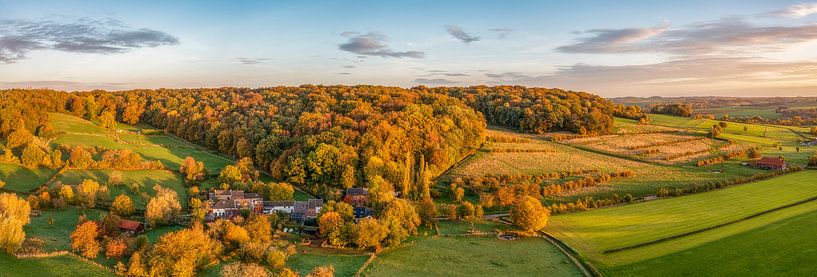 Luchtpanorama  van het Schweibergerbos in herfstkleuren van John Kreukniet
