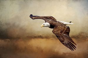 Seeadler über Landschaftsgemälde