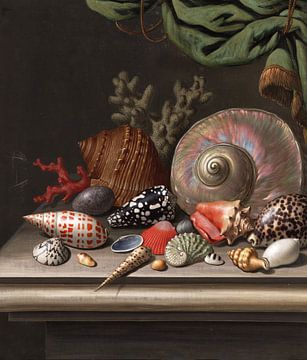 Still life with shells, C.F.D. Diet by Teylers Museum