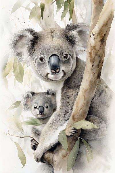 Koala von Jacky