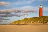 texel