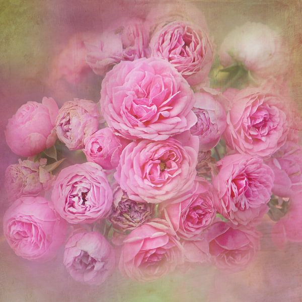 Romantische Rosen par Heike Hultsch