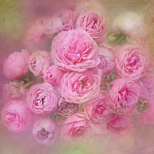 Romantische Rosen by Heike Hultsch