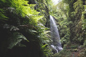 Waterval in La Palma, Spanje van Simone Diederich