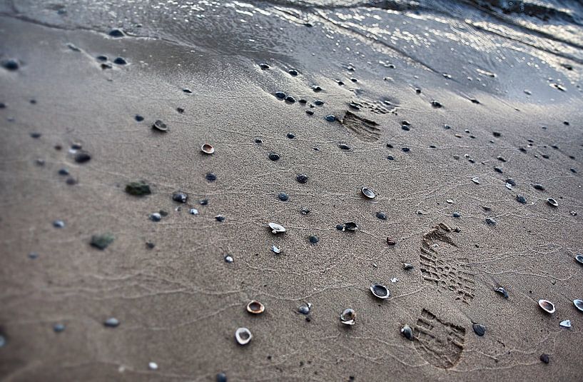 Footsteps in the Sand: Erinnerungen an die Küste von Arthur van Iterson