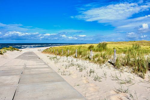 Way to the beach in Petten