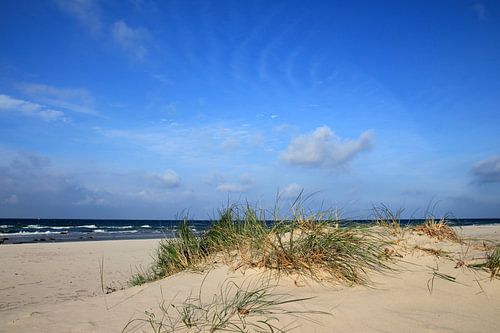 Herfstduinen
