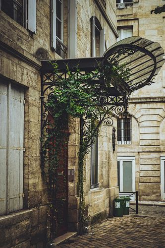 Art nouveau canopy with ivy in Bordeaux. by André Scherpenberg