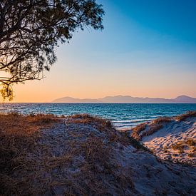 Zon schijnt door de takken bij zonsondergang in Kos van Marcus Beckert