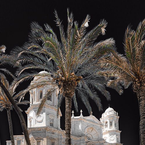The Cathedral of the southern Spanish city of Cadiz seen through palm trees