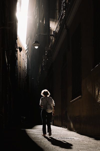 In den Schatten von Remon Rijper