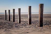 Maasvlakte in de winter