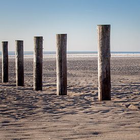 Maasvlakte in de winter van Martine van Toledo