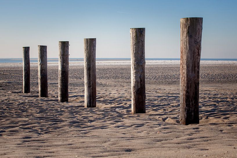 Maasvlakte in de winter by Martine van Toledo