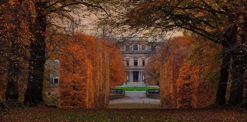 elswout by peterheinspictures