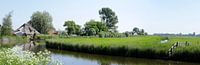 Panorama van een Nederlands landschap in de lente van Cora Unk thumbnail